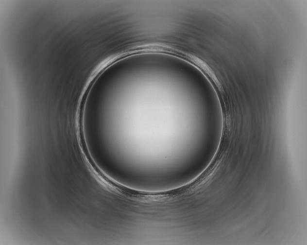 X0000116261482200911301143