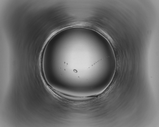 X0000116261483200911301143