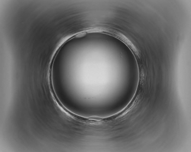 X0000116261484200911301143