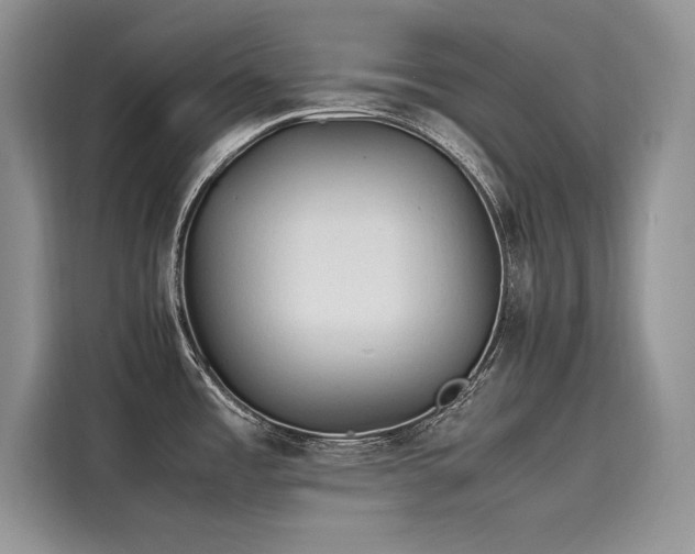 X0000116261485200911301143