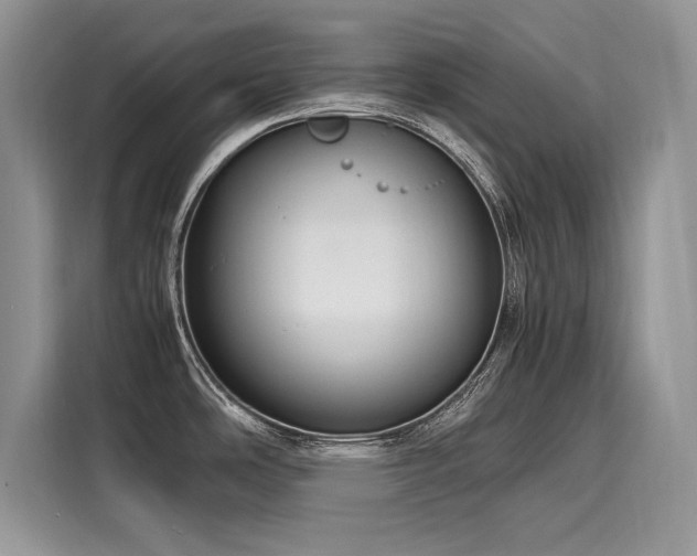 X0000116261486200911301143