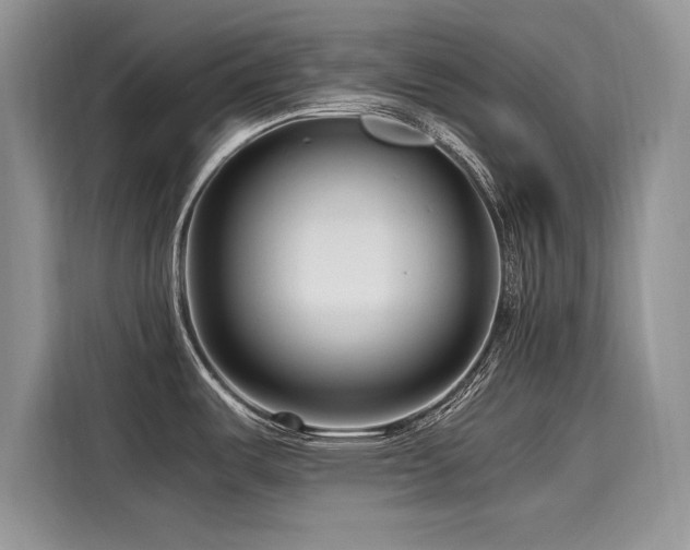 X0000116261487200911301143