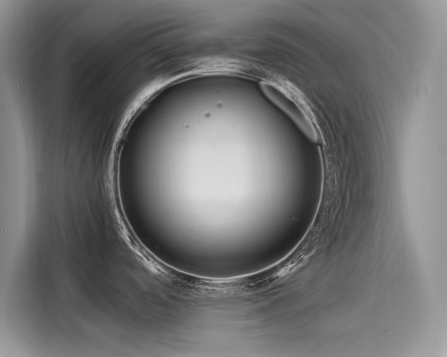 X0000116261488200911301143