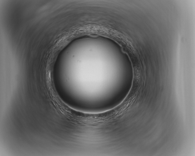 X0000116261489200911301142