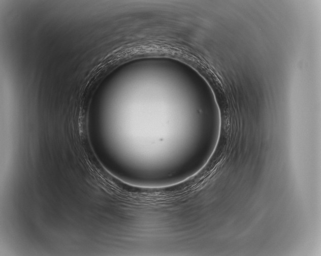 X0000116261490200911301142