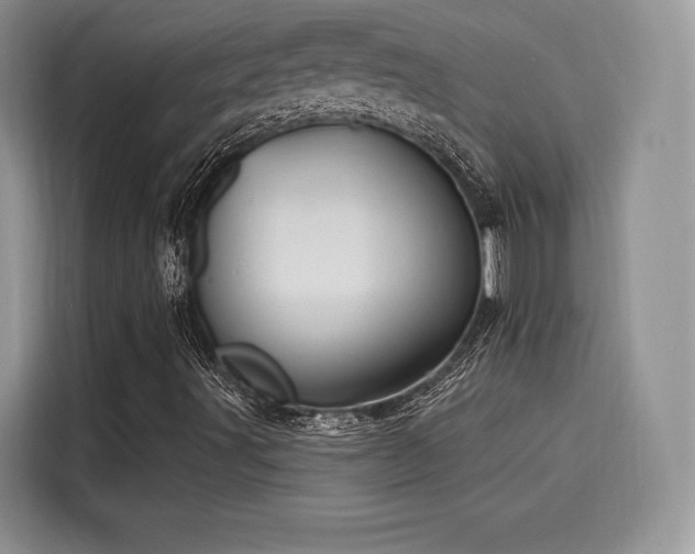 X0000116261491200911301142