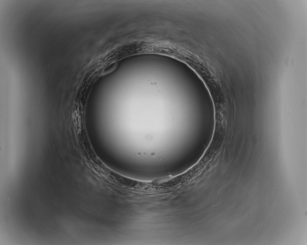 X0000116261493200911301142