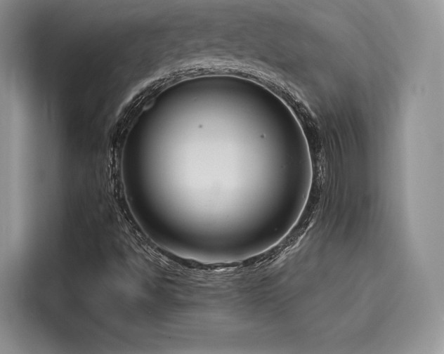 X0000116261494200911301142