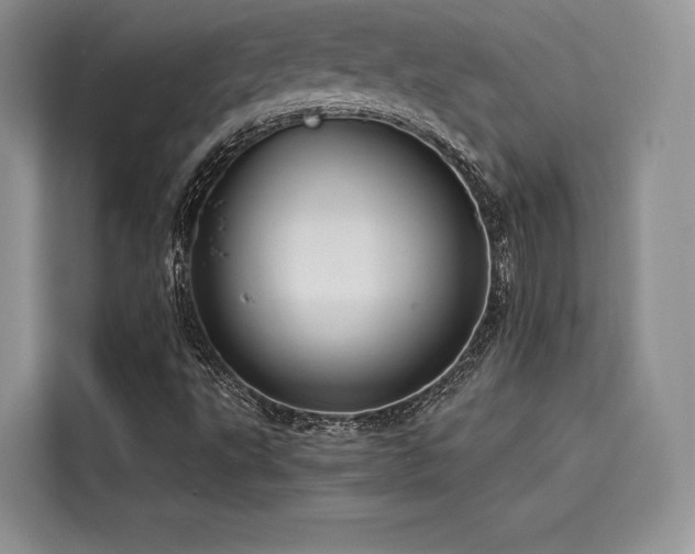 X0000116261495200911301142