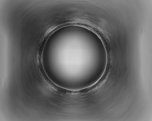 X0000116261497200911301142