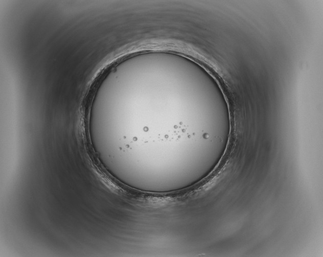 X0000116261498200911301142