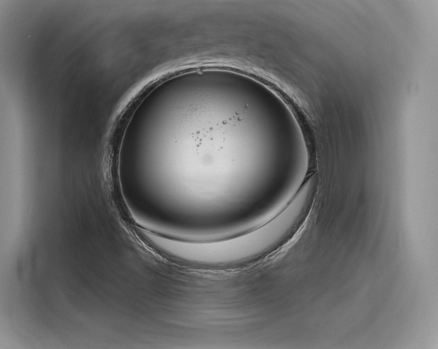 X0000116261502200911301142