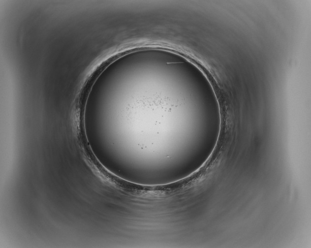 X0000116261503200911301143