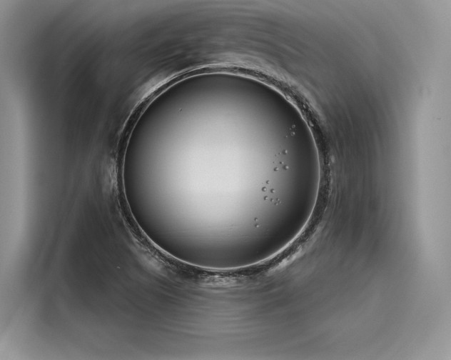 X0000116261505200911301143