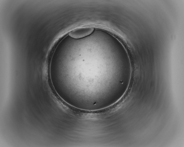 X0000116261506200911301143