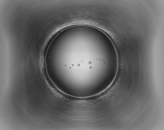 X0000116261507200911301143