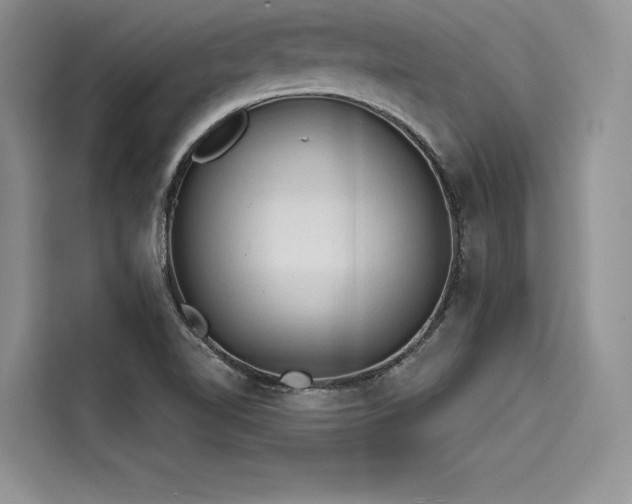 X0000116261510200911301143