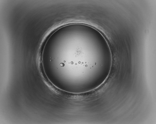 X0000116261511200911301143