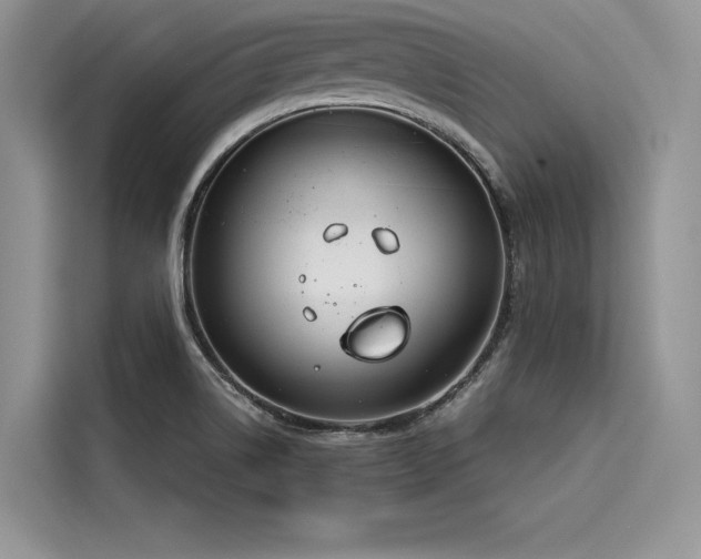 X0000116261514200911301143