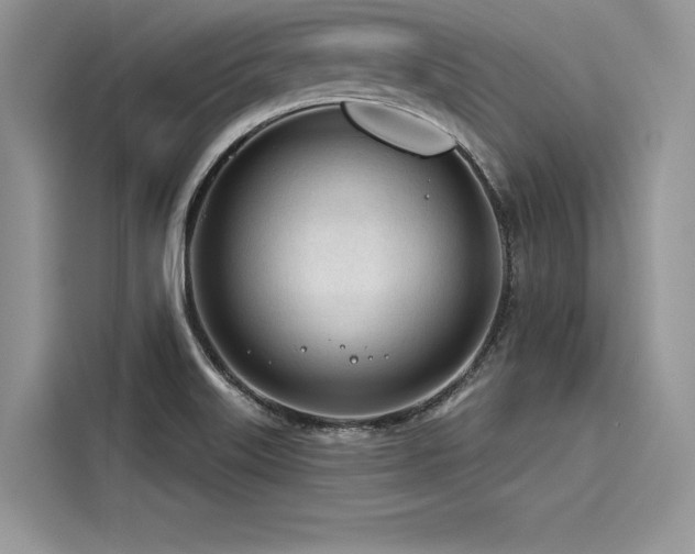 X0000116261515200911301143