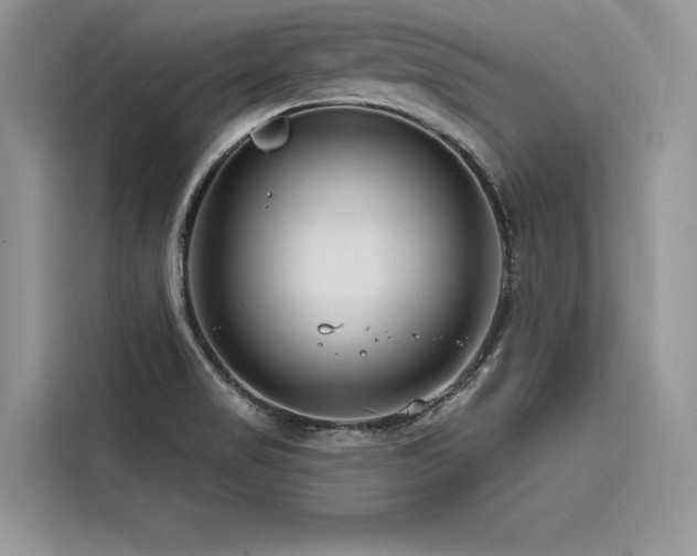X0000116261517200911301143