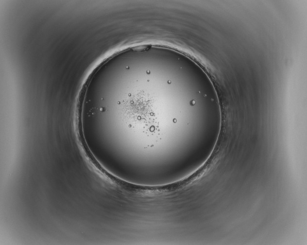 X0000116261518200911301143