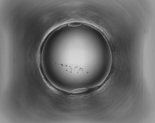 X0000116261519200911301143