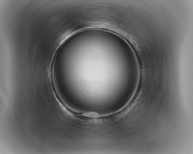 X0000116261521200911301143