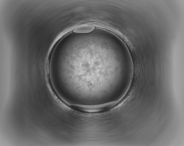 X0000116261522200911301143