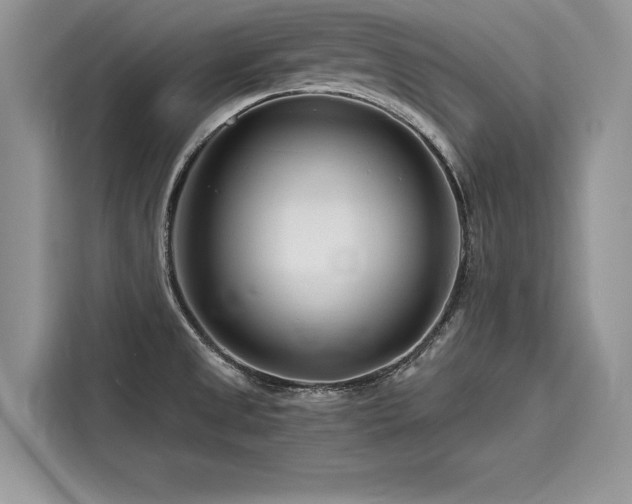 X0000116261525200911301143