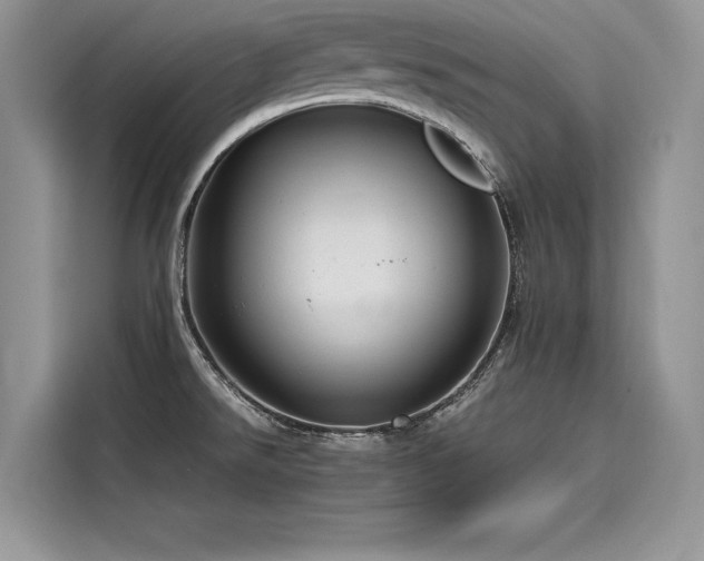 X0000116261526200911301143