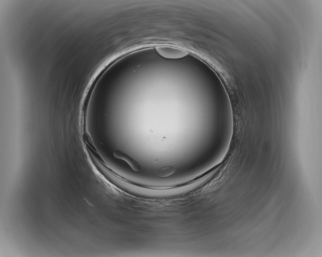 X0000116261527200911301143