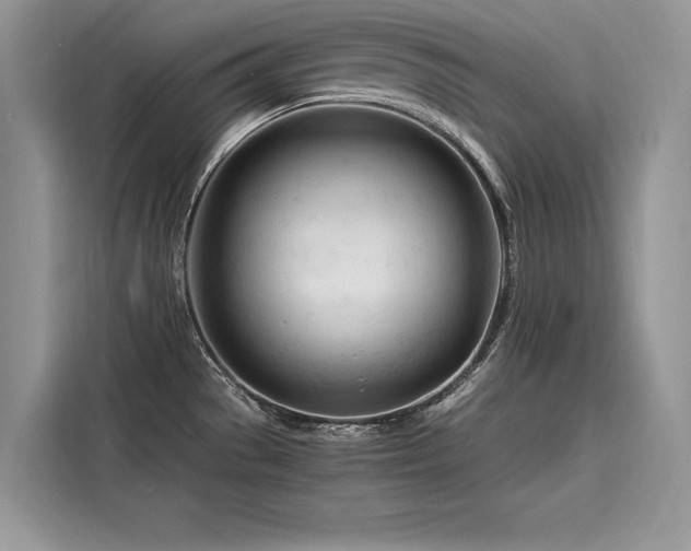 X0000116261529200911301143