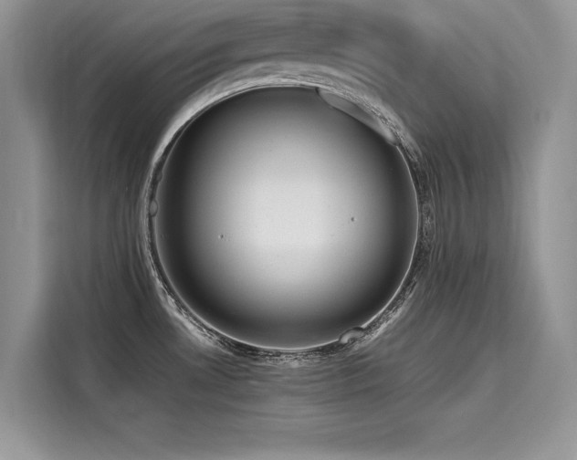 X0000116261530200911301143