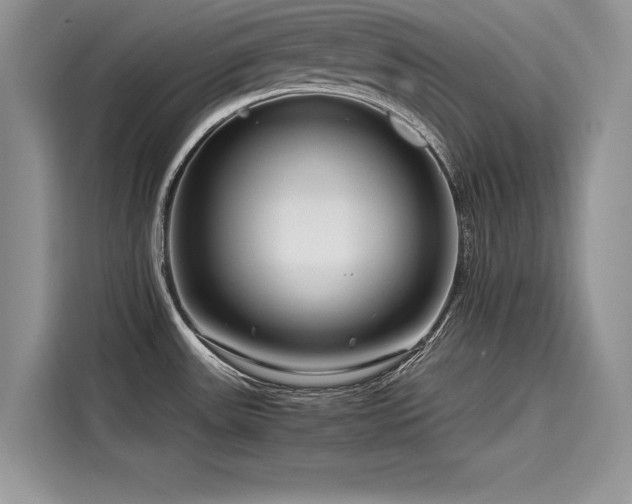 X0000116261531200911301143