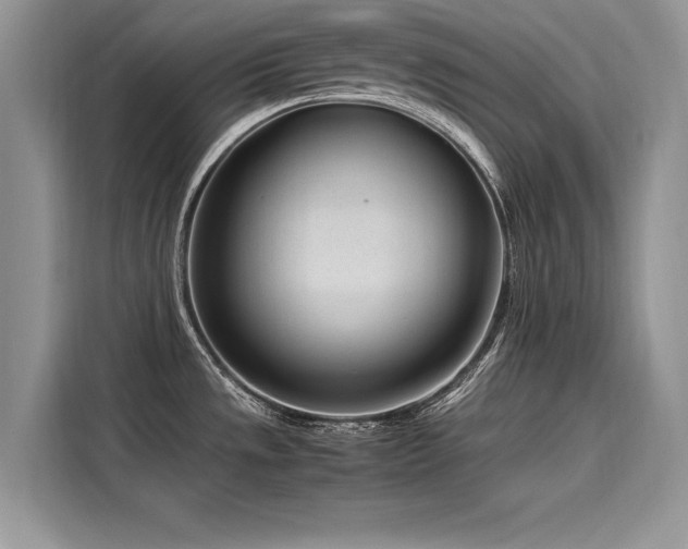 X0000116261533200911301143