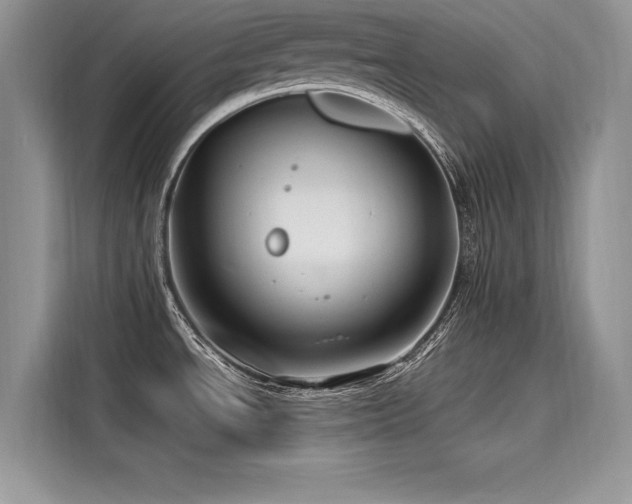 X0000116261534200911301143
