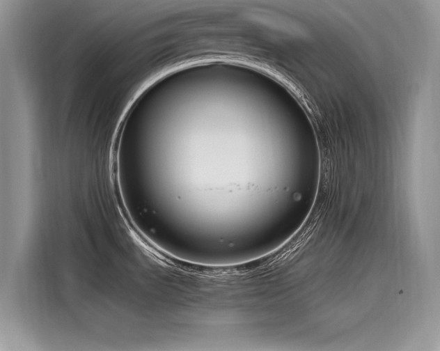 X0000116261535200911301143