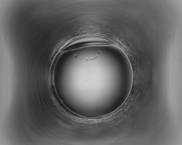 X0000116260002200912071031