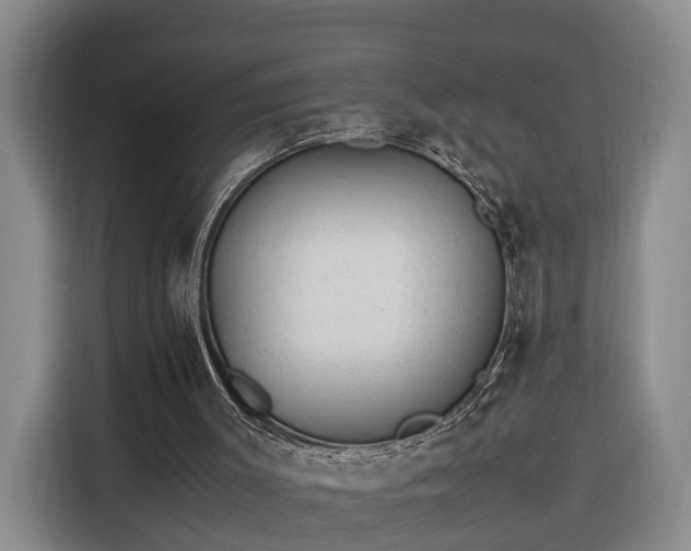 X0000116260003200912071031