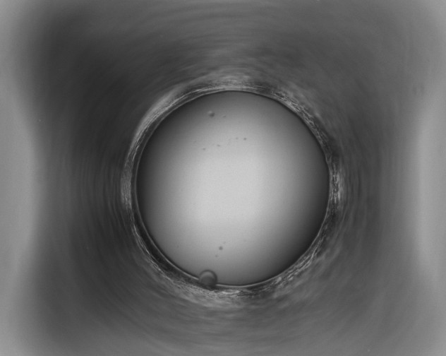 X0000116260004200912071031
