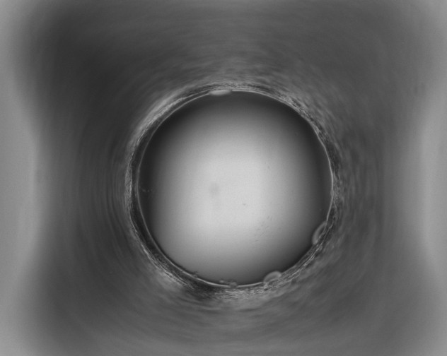 X0000116260005200912071031