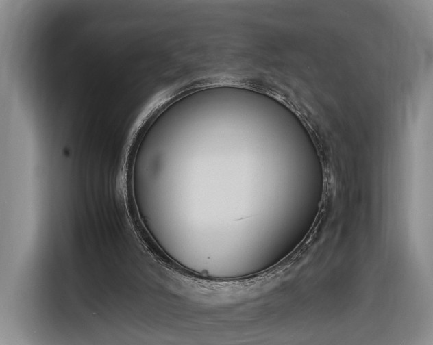 X0000116260006200912071031
