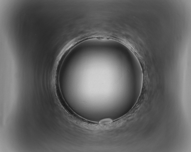 X0000116260007200912071031