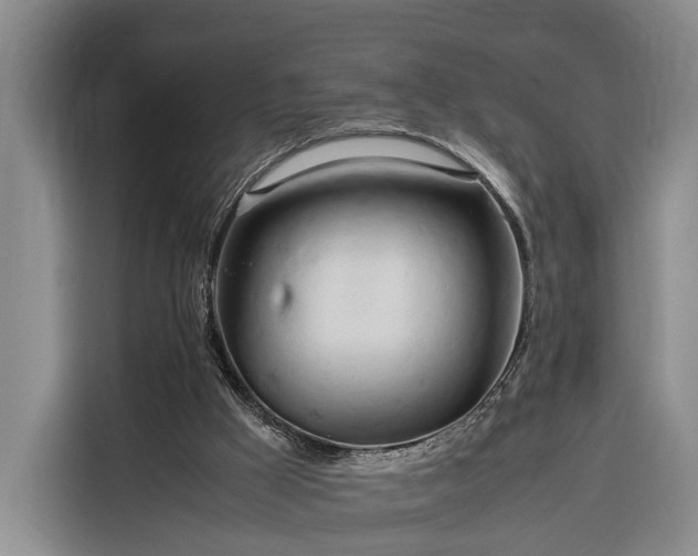 X0000116260009200912071031