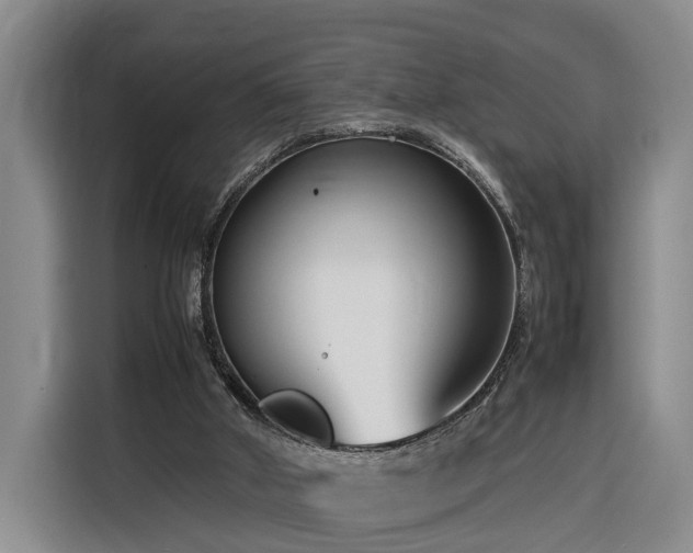 X0000116260010200912071031