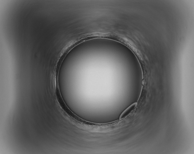 X0000116260011200912071031