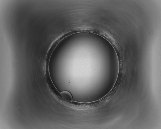 X0000116260012200912071031