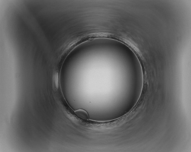 X0000116260013200912071031