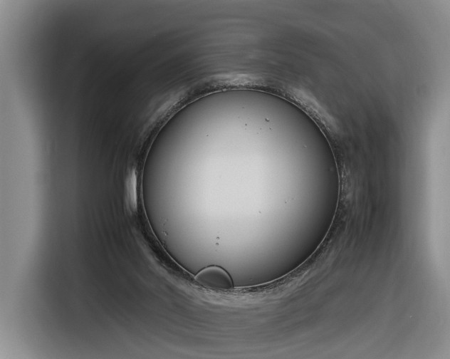X0000116260014200912071031